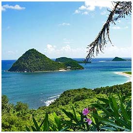 ������� - ������ ���������