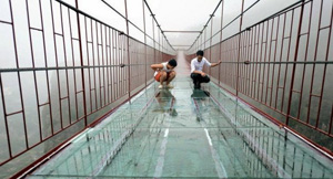 ���������� ��������� ���� � �����