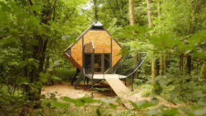 Le Nichoir � ������ ������ ������ ������� ����