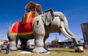 ������������ ������� ����