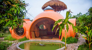 ���������� ��� �� $ 9000